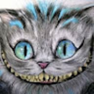 Meet your Posher, Misty